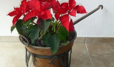 svg+xml;charset=utf-8,%3Csvg%20xmlns%3D Metallgestaltung - wagenschmitte.com | Jucker Technik AG, Neerach